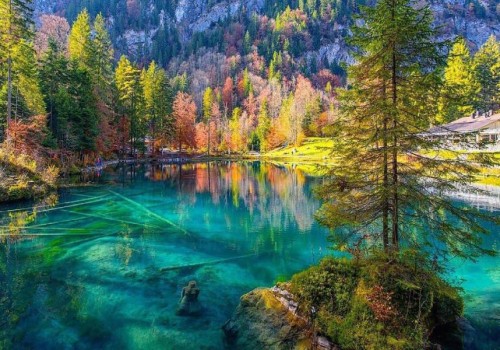 Blausee – Viên ngọc xanh huyền thoại giữa lòng Thụy Sĩ